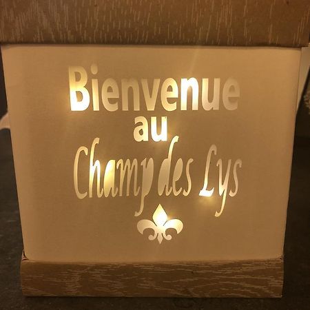 Le Champ Des Lys Hotel Amancey Exterior photo