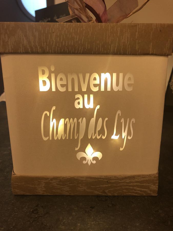 Le Champ Des Lys Hotel Amancey Exterior photo